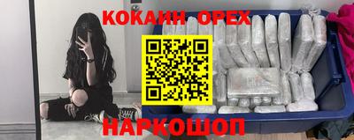 винт Новодвинск