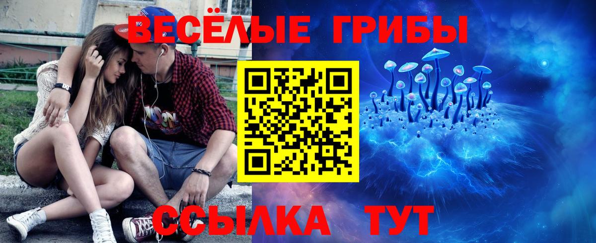 Удомля  Псилоцибиновые грибы Magic Shrooms  Вход с VPN 